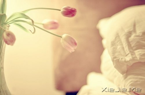 簲һɣȥ (3)